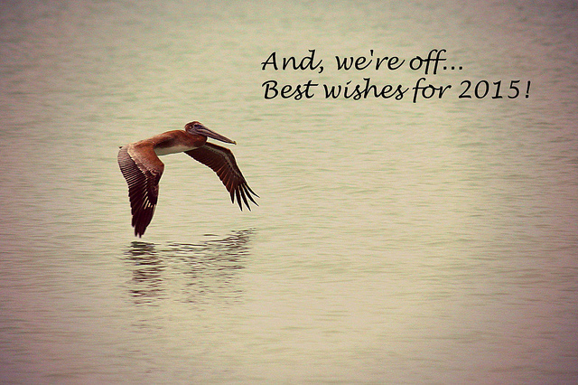 Best Wishes for 2015!